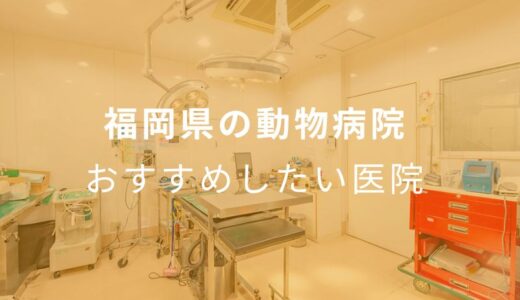 【2024年】福岡県の動物病院 おすすめしたい6医院