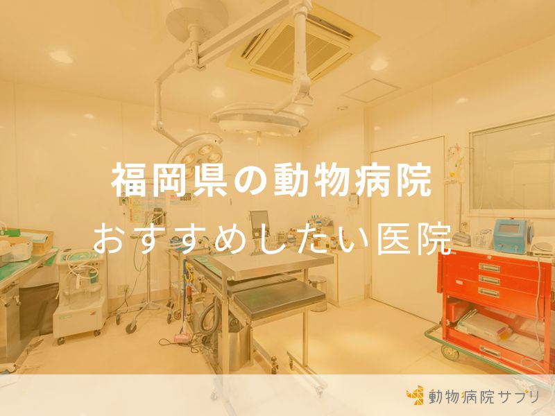 福岡県の動物病院 おすすめしたい医院
