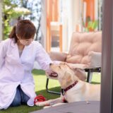 犬の下痢・嘔吐の原因は？自宅でできる対処法や治療法について解説