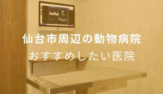 【2025年】仙台市周辺の動物病院 おすすめしたい8医院