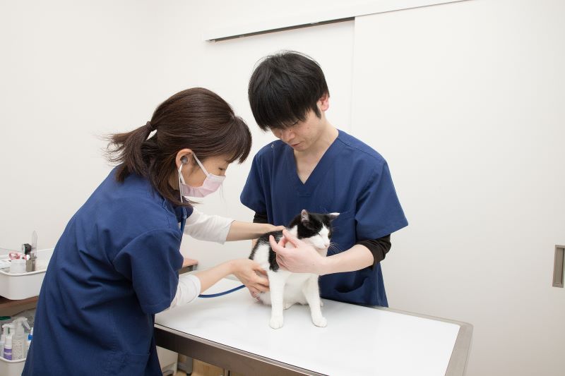 きたひろ動物病院