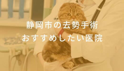 【2024年】静岡市の去勢手術の動物病院 おすすめしたい6医院