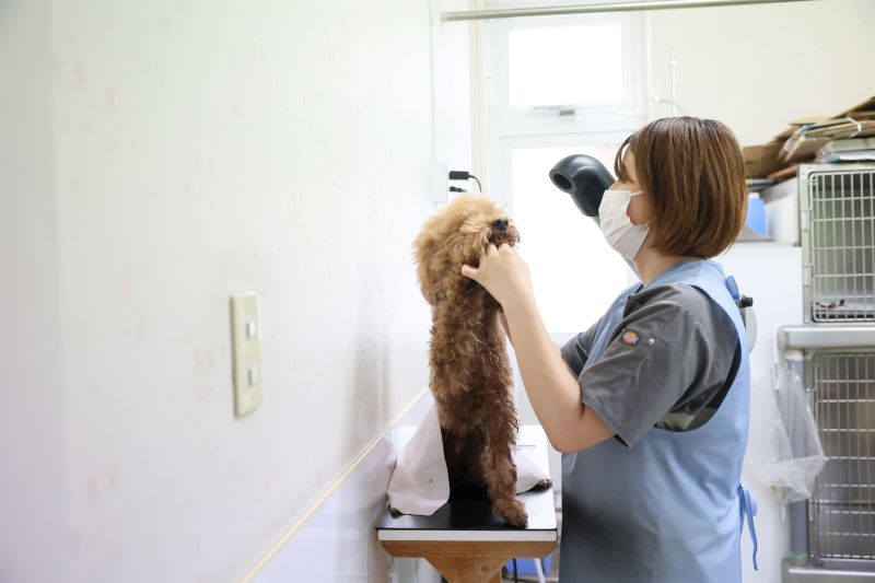 うすだ動物病院