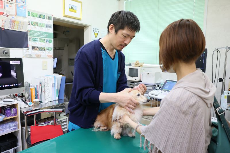 うすだ動物病院