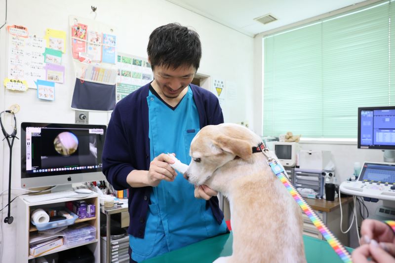 うすだ動物病院