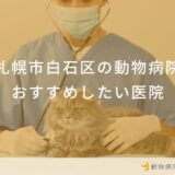 【2024年】札幌市白石区の動物病院 おすすめしたい6医院