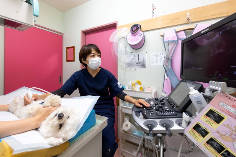 花川ルル動物病院