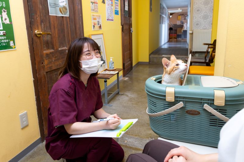 花川ルル動物病院