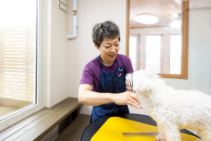 花川ルル動物病院