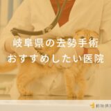 【2024年】岐阜県 去勢手術の動物病院 おすすめしたい6医院