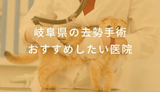 【2024年】岐阜県 去勢手術の動物病院 おすすめしたい6医院