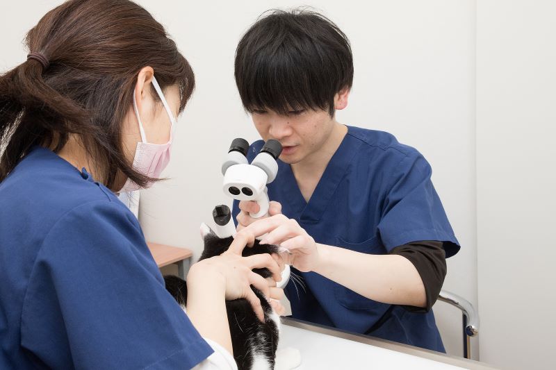 きたひろ動物病院