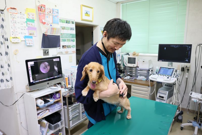 うすだ動物病院