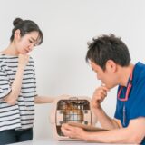 猫のうんちがゆるい原因とは？うんちの状態でわかることや病院に連れていくべきかのポイントも解説