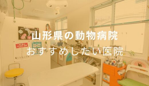 【2024年】山形県の動物病院 おすすめしたい5医院