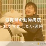 【2024年】滋賀県の動物病院 おすすめしたい6医院