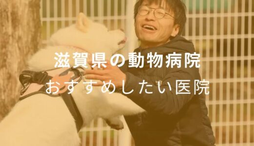 【2024年】滋賀県の動物病院 おすすめしたい7医院