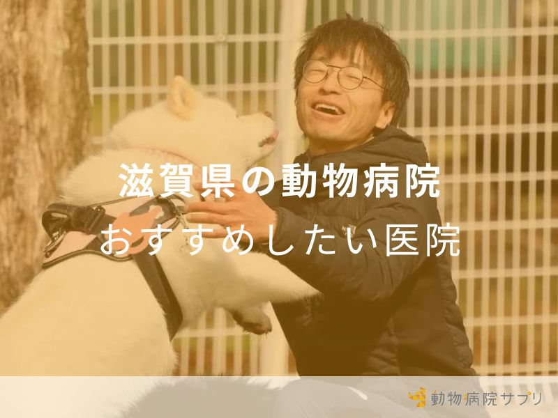 滋賀県の動物病院 おすすめしたい医院