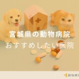 宮城県の動物病院 おすすめしたい医院