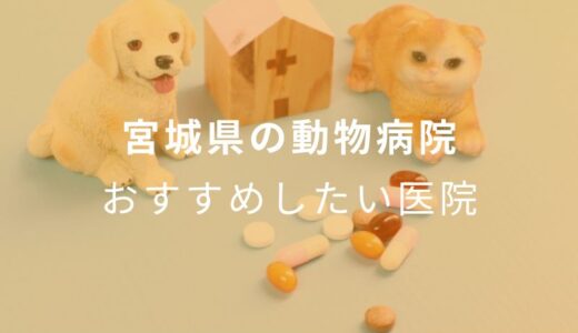 【2024年】宮城県の動物病院 おすすめしたい6医院