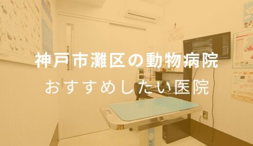 【2024年】神戸市灘区の動物病院 おすすめしたい6医院