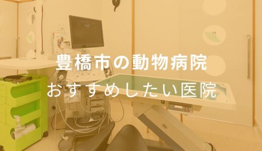 【2024年】豊橋市の動物病院 おすすめしたい6医院