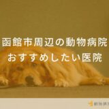 函館市周辺の動物病院おすすめしたい医院