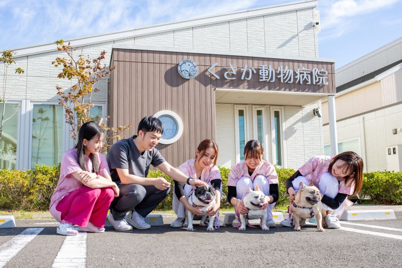 くさか動物病院