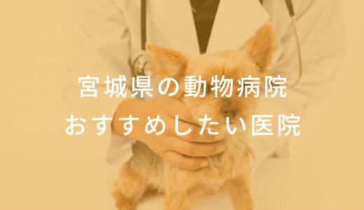 【2024年】宮城県の動物病院 おすすめしたい7医院