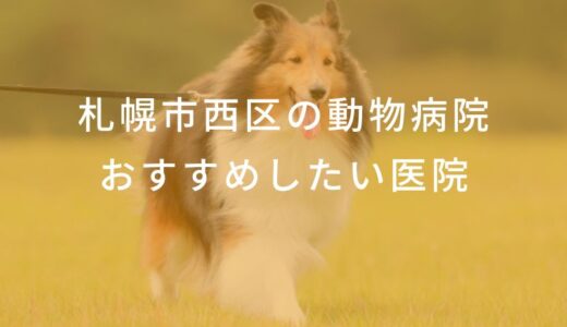 【2024年】札幌市西区の動物病院 おすすめしたい6医院