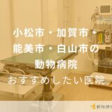 【2024年】小松市・加賀市・能美市・白山市の動物病院 おすすめしたい5医院