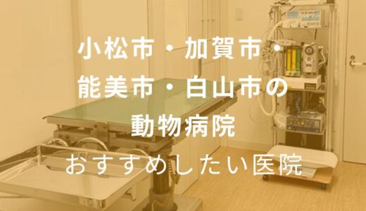 【2024年】小松市・加賀市・能美市・白山市の動物病院 おすすめしたい5医院