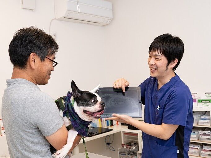 くさか動物病院