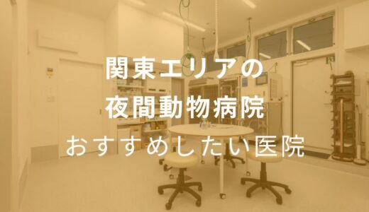 【2024年】関東エリアの夜間動物病院 おすすめしたい5医院