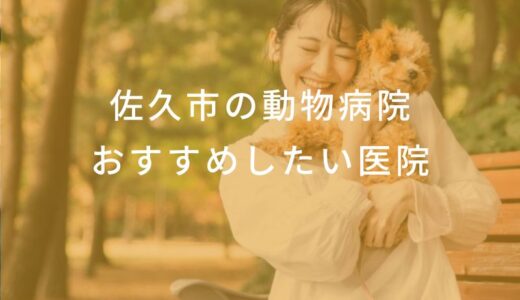 【2025年】佐久市の動物病院 おすすめしたい6医院