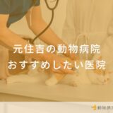 元住吉駅の動物病院 おすすめしたい医院