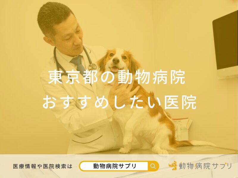 東京都の動物病院 おすすめしたい医院