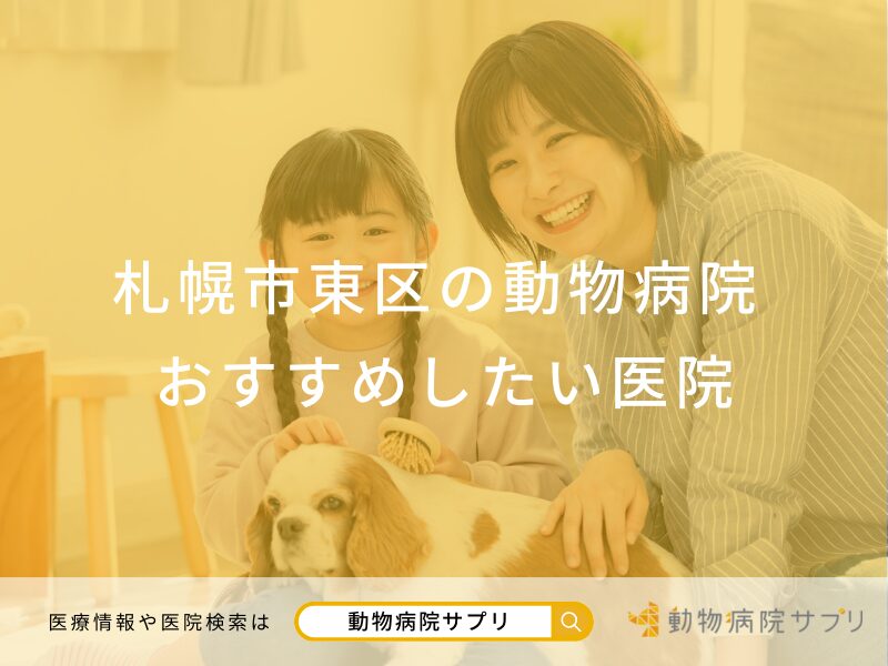 札幌市東区の動物病院おすすめしたい医院