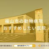 福山市の動物病院おすすめしたい医院