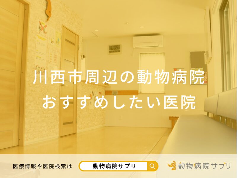 川西市周辺の動物病院 おすすめしたい医院