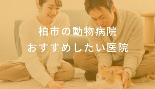 【2024年】柏市の動物病院 おすすめしたい6医院