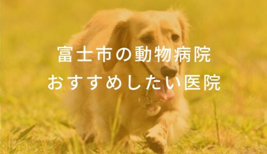 【2024年】静岡県富士市の動物病院 おすすめしたい6医院