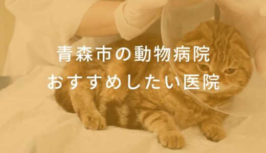 【2024年】青森市の動物病院 おすすめしたい6医院