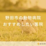 野田市の動物病院おすすめしたい医院