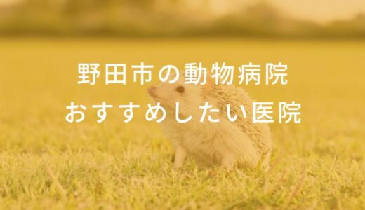 【2024年】野田市の動物病院 おすすめしたい6医院