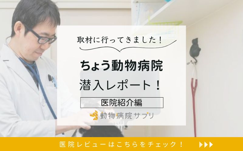 ちょう動物病院