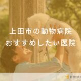 【2024年】上田市の動物病院 おすすめしたい6医院