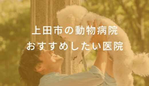 【2024年】上田市の動物病院 おすすめしたい6医院