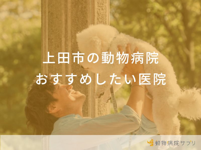 上田市の動物病院おすすめしたい医院