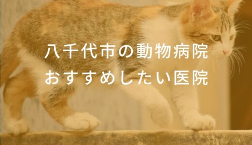 【2024年】八千代市の動物病院 おすすめしたい6医院